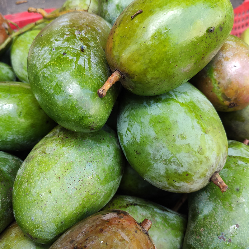 Xoài Miên